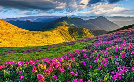 Fourth International Competition of Amateur Photos «I love you, Life! Beauty will save the World»